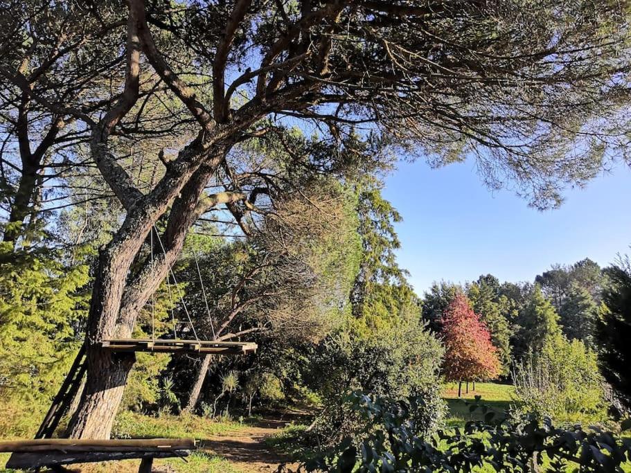 Pine Lodge - Direct Train To Porto Valongo  Exterior foto